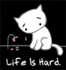 Life is hard