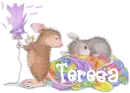 Teresa