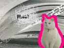 Cat On Animated Background
