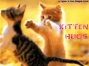 Kitten Hugs