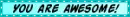 you are awesome