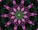 wild flower