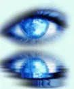eye