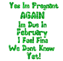 pregnant again