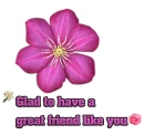 Friend