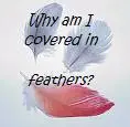 why am I covered in feathers