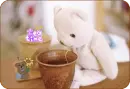 tea time
