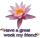 Friend-have a great week