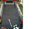 ELVIS