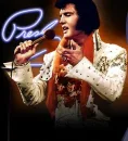 ELVIS