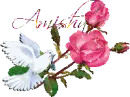 white dove - Amisha