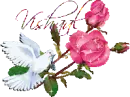 white dove - Vishaal
