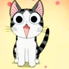 kitty
