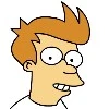 Fry