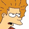 Fry