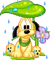 PUPPY IN THE RAIN