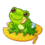 FROG ON LILLY PAD
