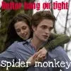 Spider monkey
