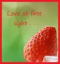 Love at first sight