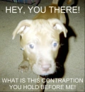 hey, you there!