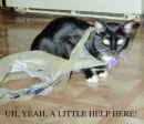 a little help