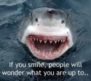 Shark Smile