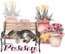 Perry