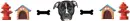 Pit Bull