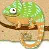 Chameleon