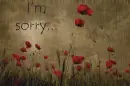 I'm Sorry
