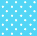 baby Blue polka dots
