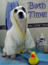 Doggy Bath