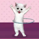 hula hoop kitty