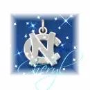 Carolina Tarheels Logo Charm (with sparkles)- Cheryl