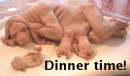 Dinner Time