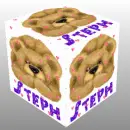 Teddy Bear on Belly Cube- Steph