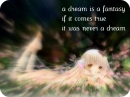 what is a dream
