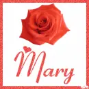 Rose with the name Mary