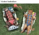 sun bathers