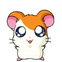 hamtaro