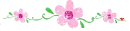 PINK FLOWERS