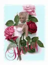 Shirley
