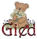 Gied