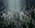 dragengard 2