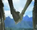dragengard 2 - 6
