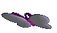 buttefly