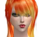 the sims 2