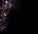 Dark Roses and Butterflies