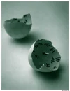 Egg Shells