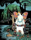 fairy